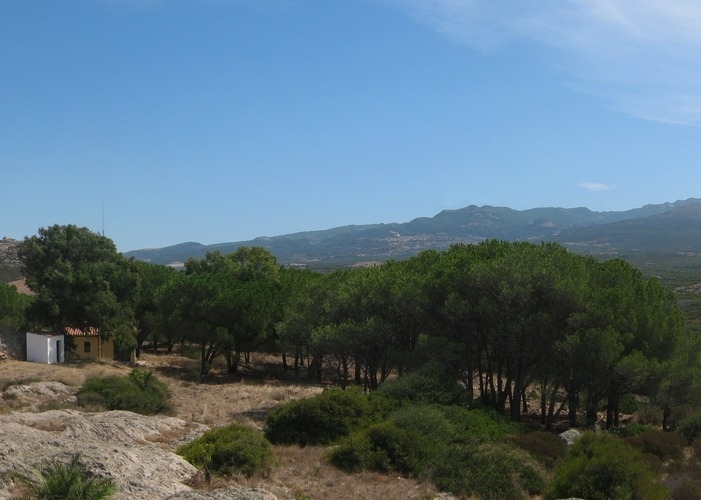panorama