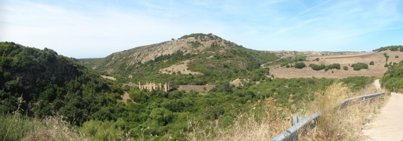 panocartiera